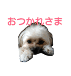 うちのあず（個別スタンプ：15）