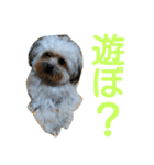 うちのあず（個別スタンプ：18）