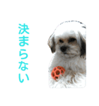 うちのあず（個別スタンプ：27）