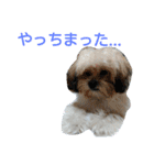 うちのあず（個別スタンプ：32）