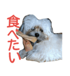うちのあず（個別スタンプ：34）