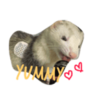 ferret-hero（個別スタンプ：6）