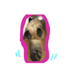 モコとアイニャンそしてシンバの猫三姉妹（個別スタンプ：20）