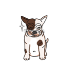 Tommy - French bulldog（個別スタンプ：19）