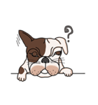 Tommy - French bulldog（個別スタンプ：21）