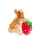 幸運のうさぎ（個別スタンプ：2）