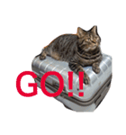 ミセスHの猫達  ver.2（個別スタンプ：21）