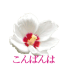KiKi' Flower garden 3（個別スタンプ：3）