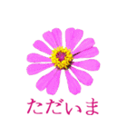 KiKi' Flower garden 3（個別スタンプ：6）