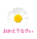 KiKi' Flower garden 3（個別スタンプ：7）