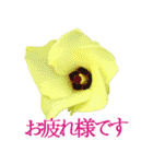 KiKi' Flower garden 3（個別スタンプ：8）