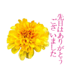 KiKi' Flower garden 3（個別スタンプ：10）