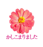 KiKi' Flower garden 3（個別スタンプ：15）