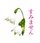 KiKi' Flower garden 3（個別スタンプ：17）