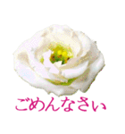 KiKi' Flower garden 3（個別スタンプ：18）