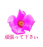 KiKi' Flower garden 3（個別スタンプ：21）