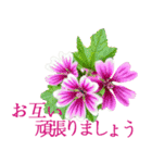 KiKi' Flower garden 3（個別スタンプ：23）