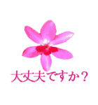 KiKi' Flower garden 3（個別スタンプ：24）