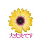 KiKi' Flower garden 3（個別スタンプ：25）