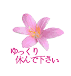 KiKi' Flower garden 3（個別スタンプ：27）
