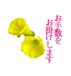 KiKi' Flower garden 3（個別スタンプ：29）