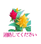KiKi' Flower garden 3（個別スタンプ：30）
