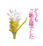KiKi' Flower garden 3（個別スタンプ：37）