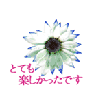 KiKi' Flower garden 3（個別スタンプ：38）