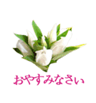 KiKi' Flower garden 3（個別スタンプ：40）