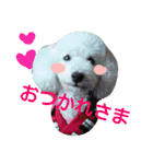 ふわもこメリー（個別スタンプ：4）