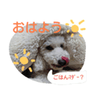 ふわもこメリー（個別スタンプ：7）