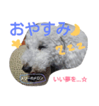 ふわもこメリー（個別スタンプ：8）