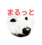 ふわもこメリー（個別スタンプ：11）