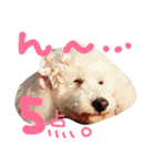ふわもこメリー（個別スタンプ：14）