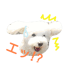 ふわもこメリー（個別スタンプ：15）