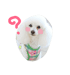 ふわもこメリー（個別スタンプ：16）