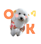 ふわもこメリー（個別スタンプ：17）