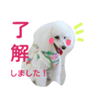ふわもこメリー（個別スタンプ：18）