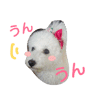 ふわもこメリー（個別スタンプ：21）