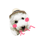 ふわもこメリー（個別スタンプ：24）