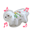ふわもこメリー（個別スタンプ：30）