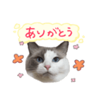 ふわふわ珠子ちゃん（個別スタンプ：2）