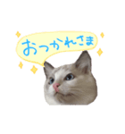 ふわふわ珠子ちゃん（個別スタンプ：3）
