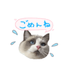 ふわふわ珠子ちゃん（個別スタンプ：5）