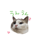 ふわふわ珠子ちゃん（個別スタンプ：8）