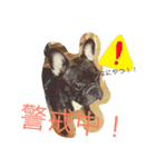 戸谷家の犬たち（個別スタンプ：1）