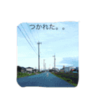 戸谷家の犬たち（個別スタンプ：2）