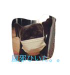 戸谷家の犬たち（個別スタンプ：9）