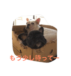 戸谷家の犬たち（個別スタンプ：14）