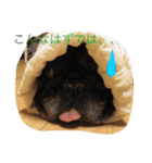 戸谷家の犬たち（個別スタンプ：18）